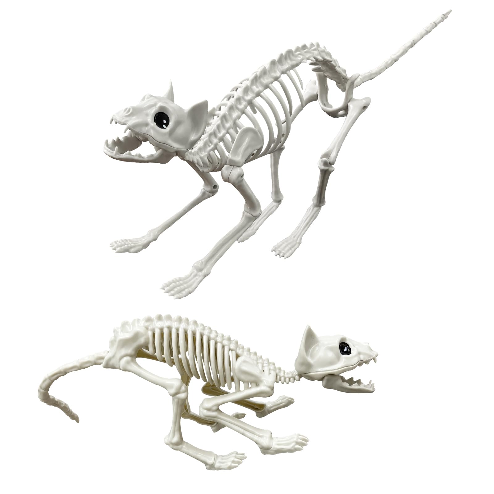 Amazon.co.jp: Lodou ハロウィン スケルトン 猫 尻尾付き 装飾 動物 猫